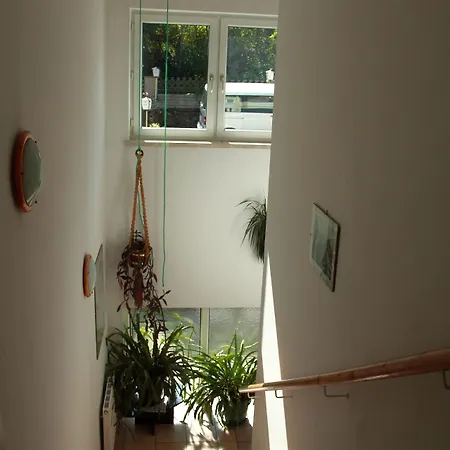 Проживание в семье Feiken *