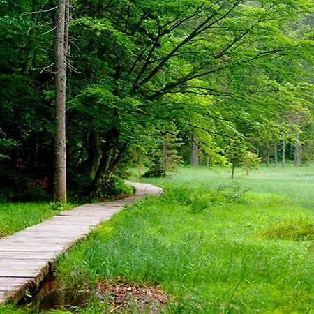 Feiken Проживание в семье Везенуфер