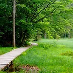 Feiken ホームステイ Wesenufer