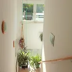 ホームステイ Feiken