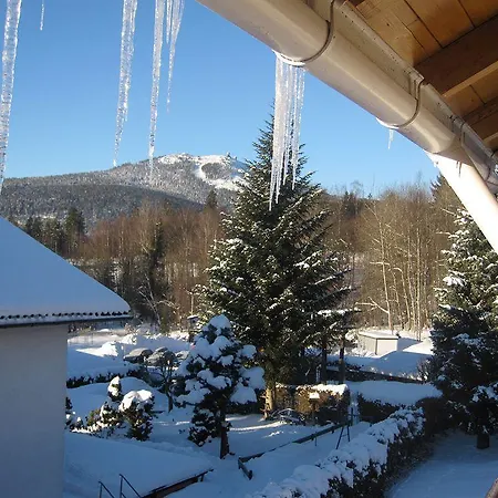 Homestay Feiken