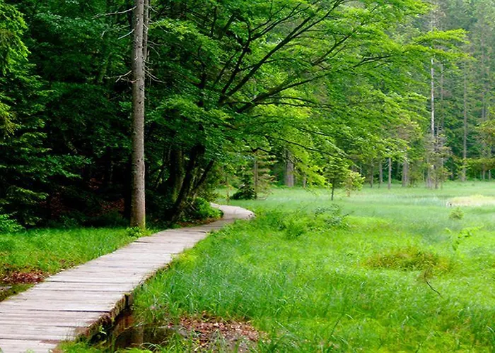 Feiken Privatunterkunft Wesenufer